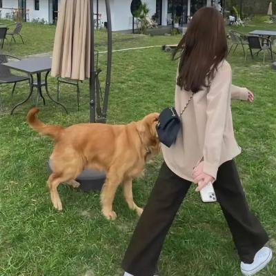 老板不是人